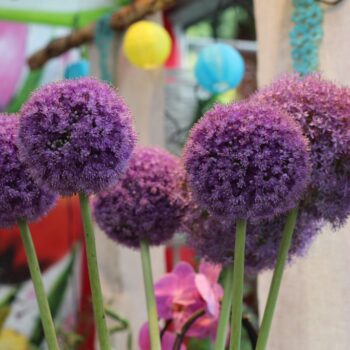 Peter Heinen Blumen & Friedhofsgärtnerei, Floristik