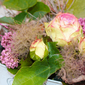 FLORISTIK – Blumengeschäft und Friedhofsgärtnerei Heinen
