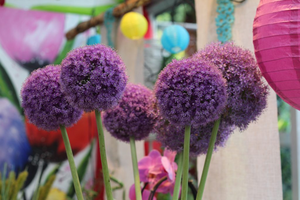 Peter Heinen Blumen & Friedhofsgärtnerei, Floristik
