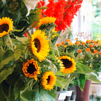 Blumen Heinen in Bonn