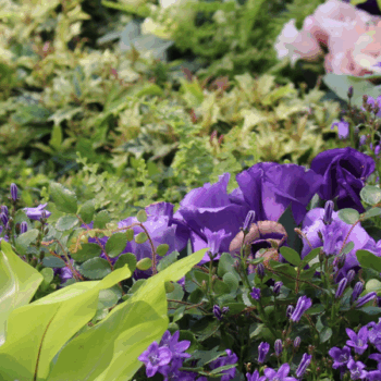 Blumenschmuck, Floristik; ©Sylvia Reischert
