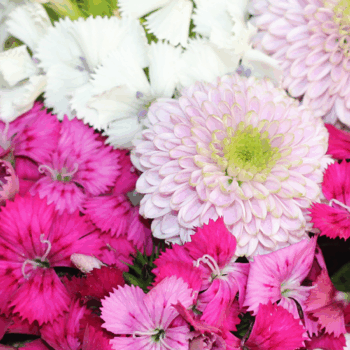 Blumenschmuck, Floristik; ©Sylvia Reischert