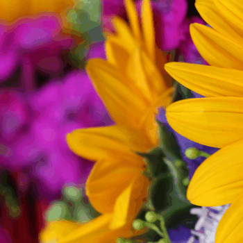Blumenschmuck, Floristik; ©Sylvia Reischert